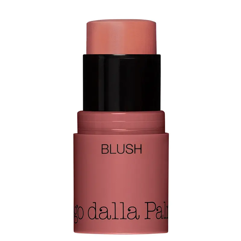 All In One Blush Blush in Stick