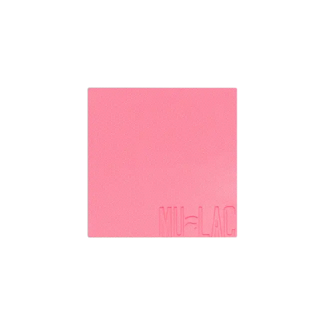 ARIEL REFILL - BLUSH IN POLVERE REFILL