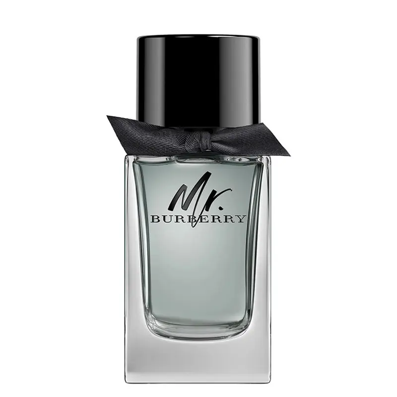 Burberry Mr. 100 ml