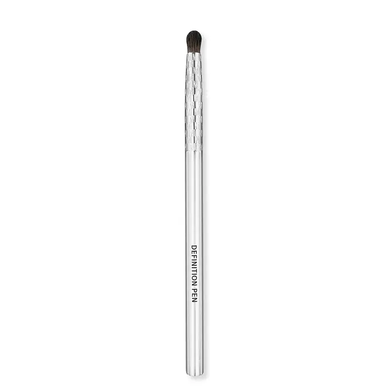 Definition Pen Brush Pennello Penna