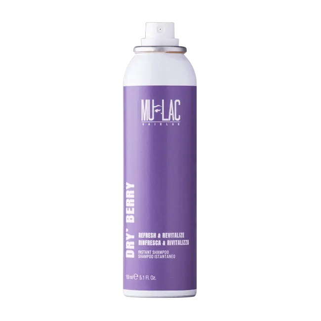 DRY’BERRY 10 - SHAMPOO SECCO