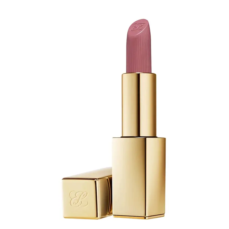 Estee Lauder Pure Color Matte Lipstick 816 Suit Up