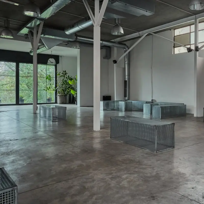 Face D Wellness Clubbing – Roma