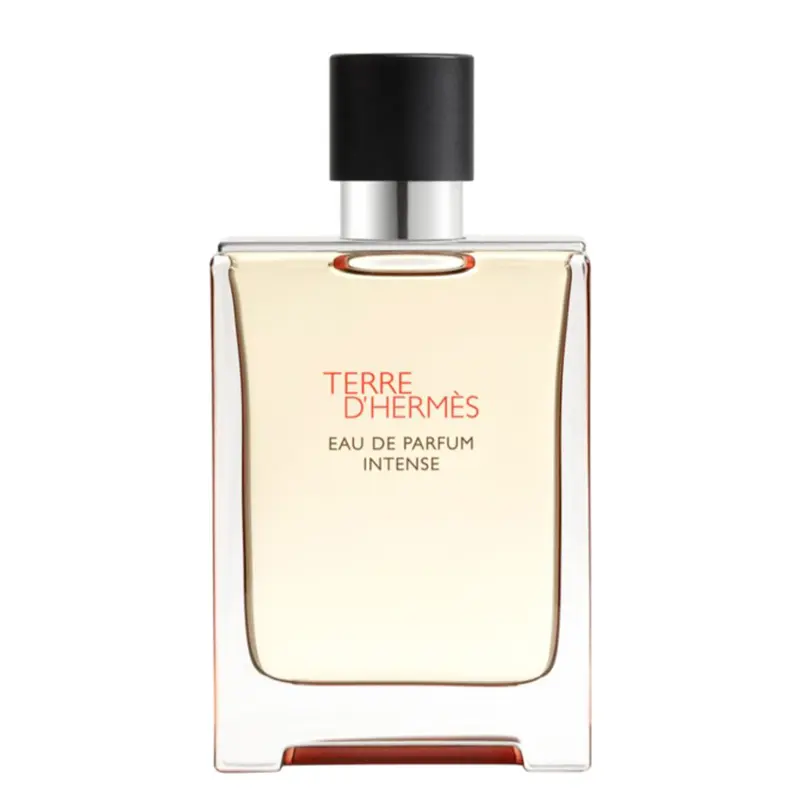 HERMES Terre D'Hermès Intense 100 ml
