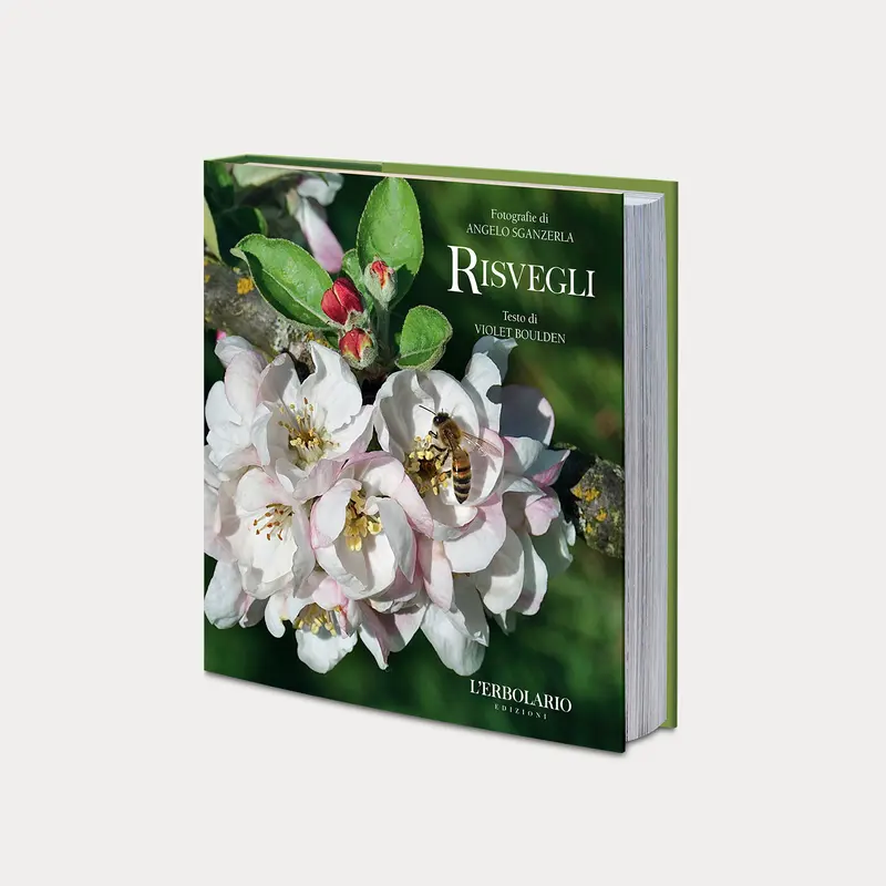 Libro Risvegli