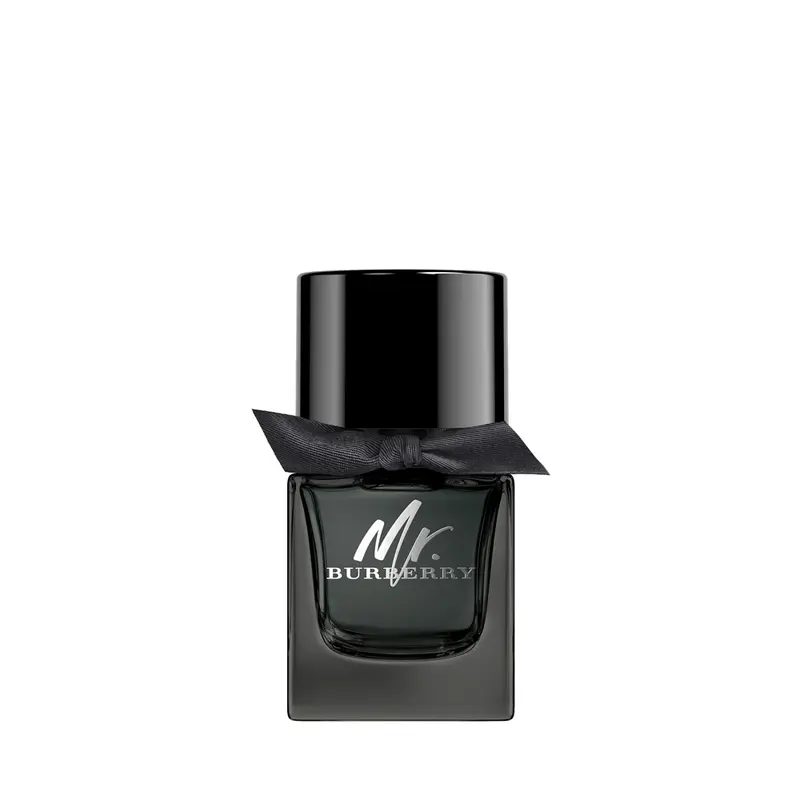 Mr. Burberry Edp