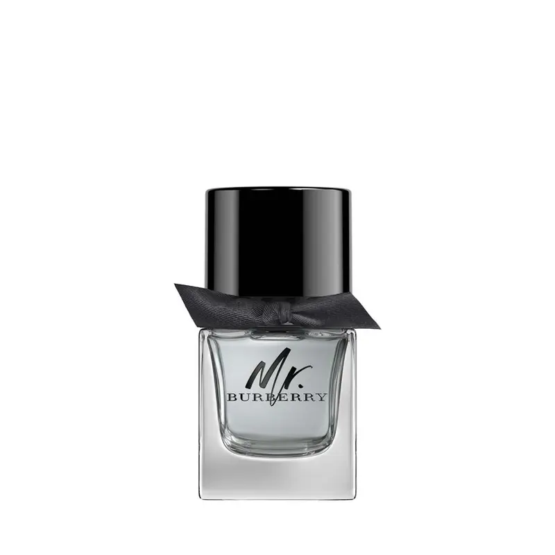 Mr. Burberry Edt