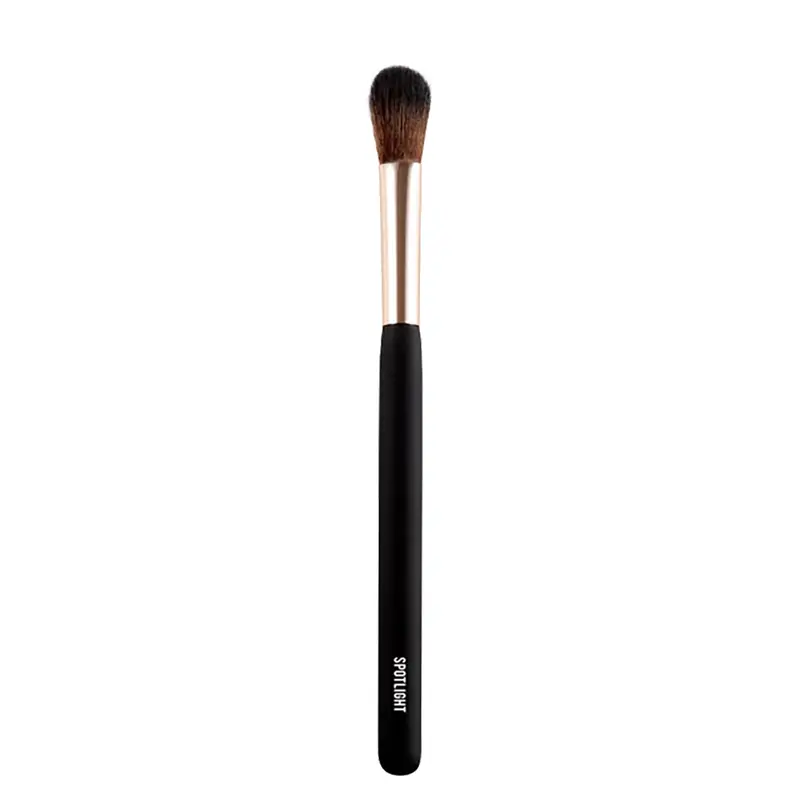 Mulac Spotlight Brush 04
