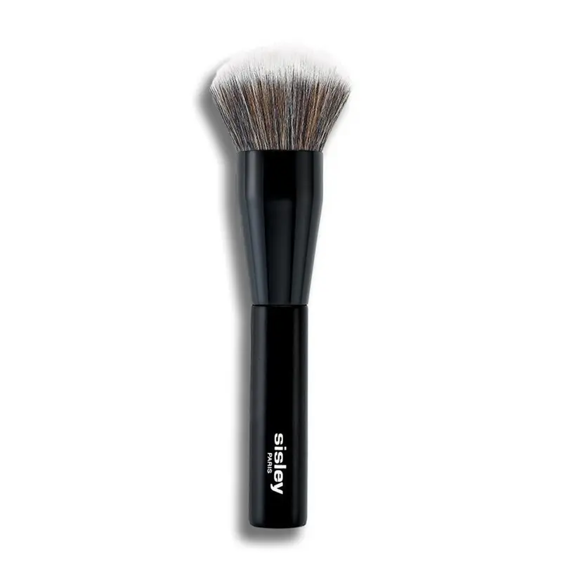 Pinceau Poudre Pennello Viso