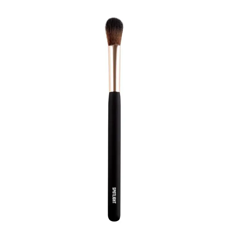 Spotlight Brush Pennello Viso 04