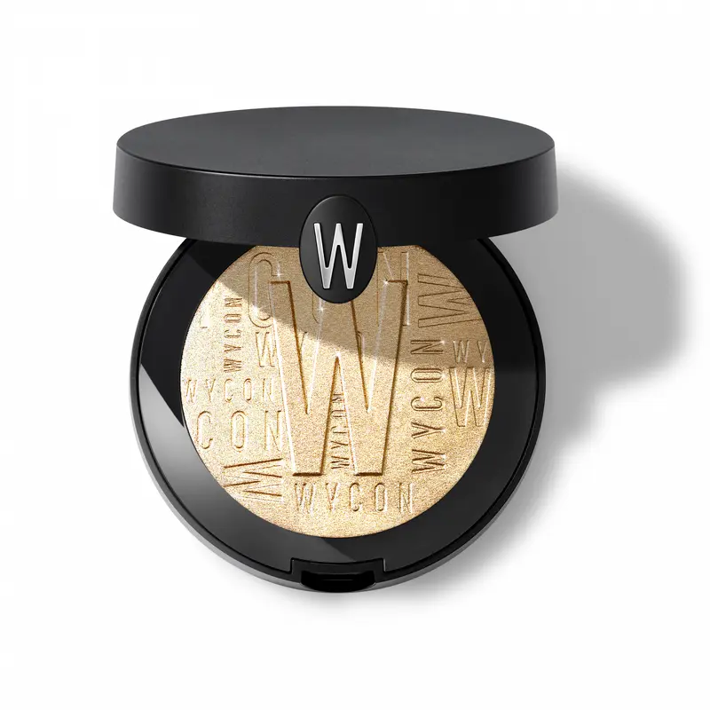 VISIONARY HIGHLIGHTER