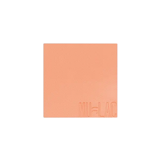 WINNIE REFILL - BLUSH IN POLVERE REFILL