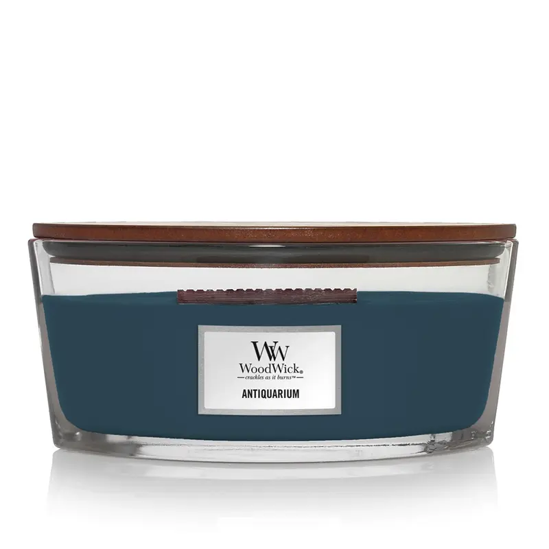Woodwick Antiquarium Ellipse rium